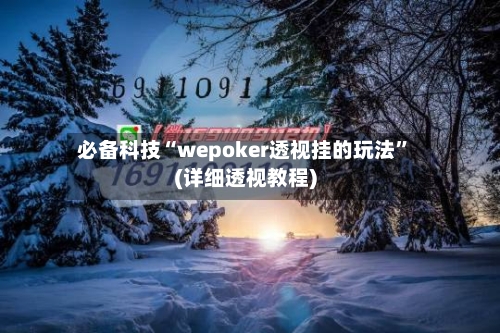 必备科技“wepoker透视挂的玩法	”(详细透视教程)-第1张图片