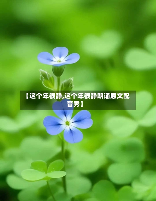 【这个年很静,这个年很静朗诵原文配音秀】-第1张图片