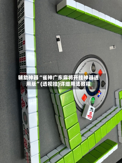 辅助神器“雀神广东麻将开挂神器通用版	”(透视挂)详细用法教程-第2张图片