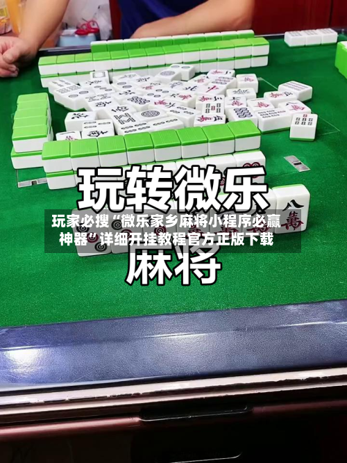玩家必搜“微乐家乡麻将小程序必赢神器”详细开挂教程官方正版下载-第2张图片