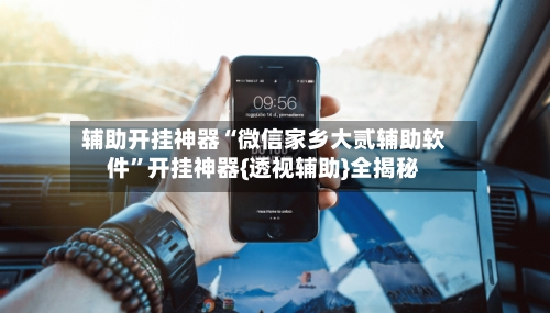 辅助开挂神器“微信家乡大贰辅助软件	”开挂神器{透视辅助}全揭秘-第1张图片