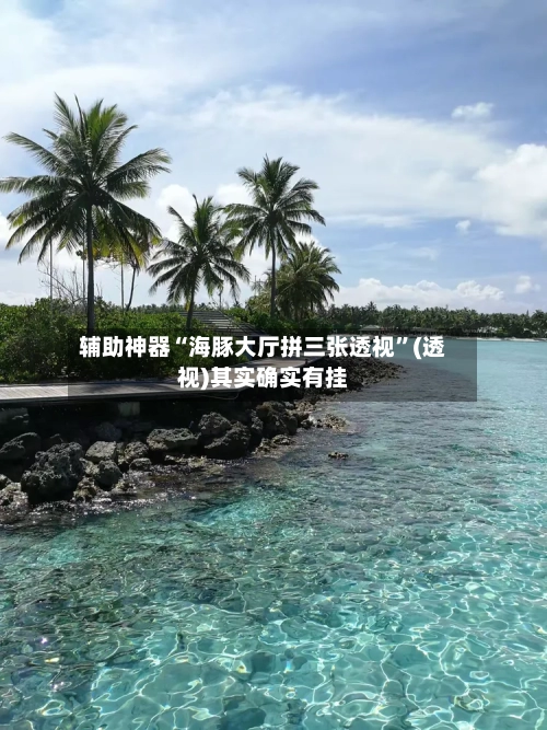 辅助神器“海豚大厅拼三张透视”(透视)其实确实有挂-第1张图片