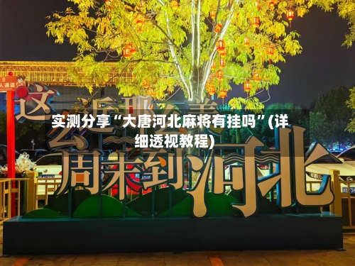 实测分享“大唐河北麻将有挂吗”(详细透视教程)-第2张图片