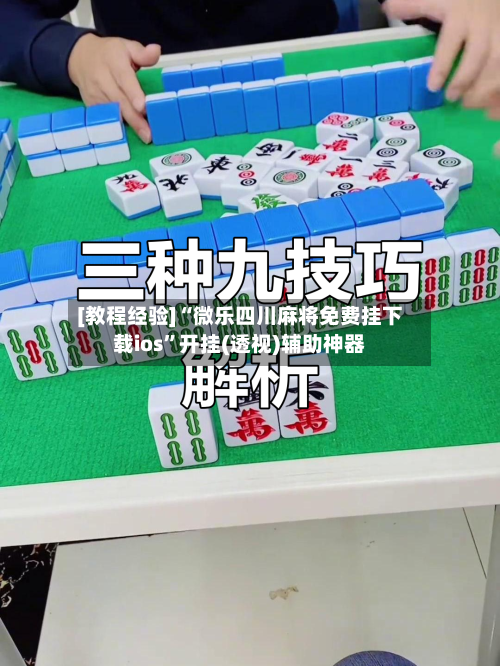 [教程经验]“微乐四川麻将免费挂下载ios	”开挂(透视)辅助神器-第2张图片