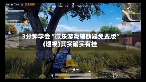 3分钟学会“微乐游戏辅助器免费版	”(透视)其实确实有挂-第1张图片