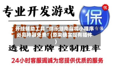 开挂辅助工具“微乐湖南麻将小程序必赢神器免费	”(原来确实是有插件)-第2张图片