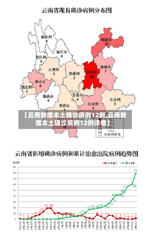 【云南新增本土确诊病例12例,云南新增本土确诊病例12例详情】-第1张图片