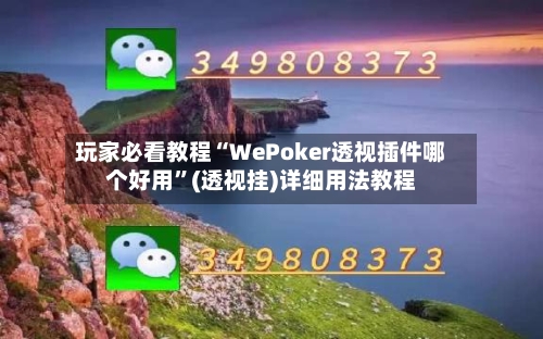 玩家必看教程“WePoker透视插件哪个好用”(透视挂)详细用法教程-第3张图片