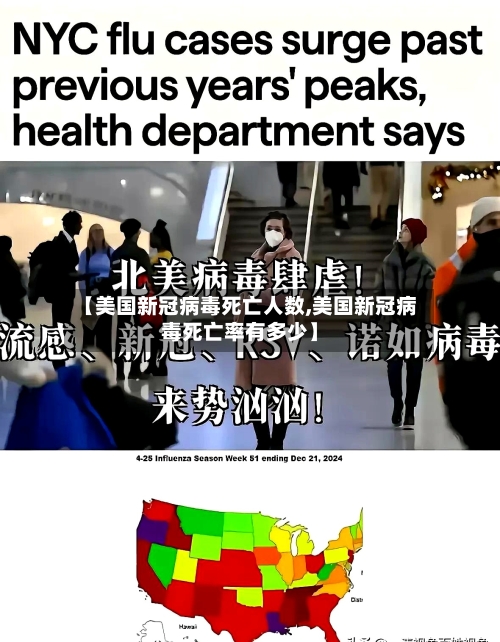 【美国新冠病毒死亡人数,美国新冠病毒死亡率有多少】-第2张图片