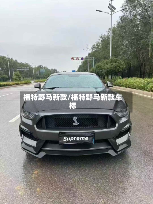 福特野马新款/福特野马新款车标-第1张图片