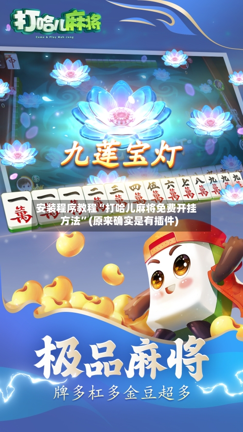 安装程序教程“打哈儿麻将免费开挂方法”(原来确实是有插件)-第3张图片