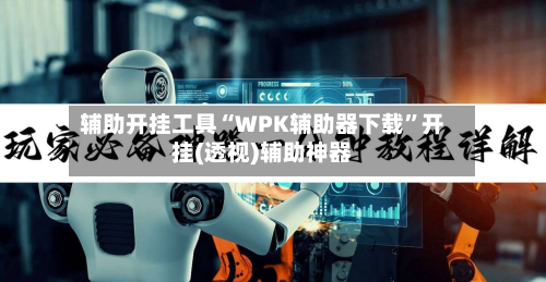 辅助开挂工具“WPK辅助器下载”开挂(透视)辅助神器-第2张图片