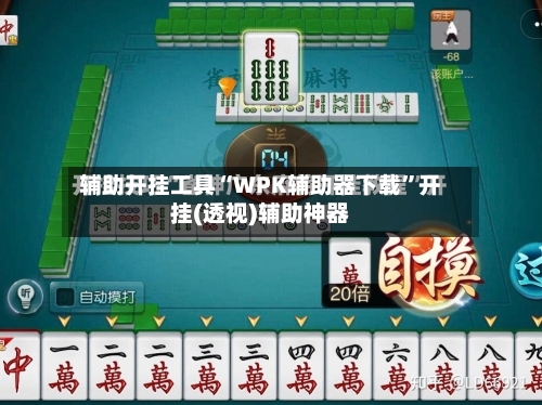 辅助开挂工具“WPK辅助器下载”开挂(透视)辅助神器-第3张图片