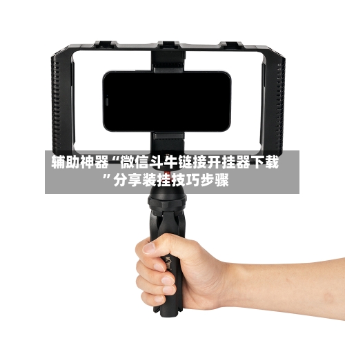 辅助神器“微信斗牛链接开挂器下载”分享装挂技巧步骤-第3张图片