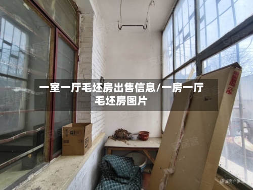 一室一厅毛坯房出售信息/一房一厅毛坯房图片-第1张图片