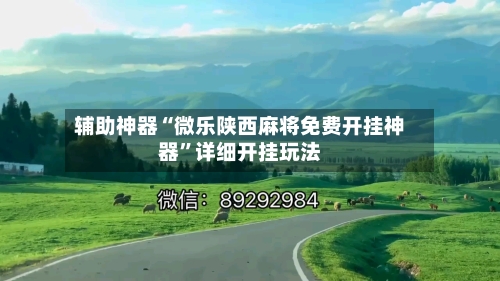 辅助神器“微乐陕西麻将免费开挂神器”详细开挂玩法-第1张图片