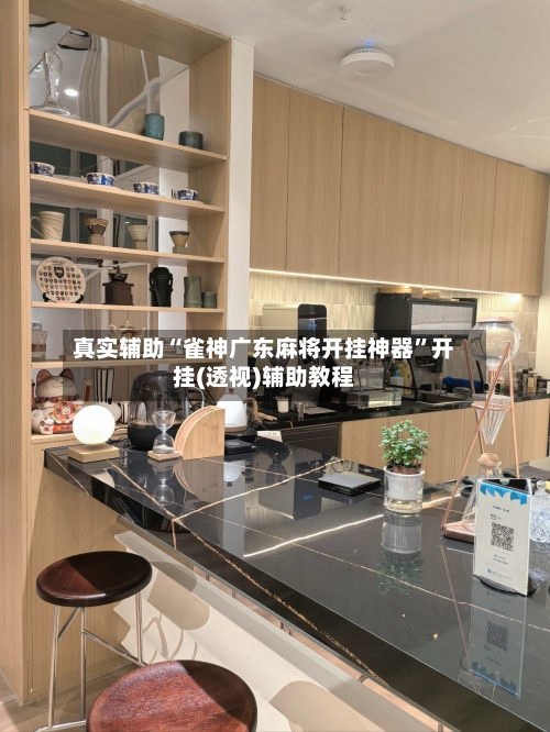 真实辅助“雀神广东麻将开挂神器”开挂(透视)辅助教程-第1张图片