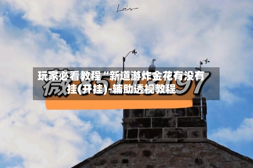 玩家必看教程“新道游炸金花有没有挂(开挂)-辅助透视教程-第2张图片