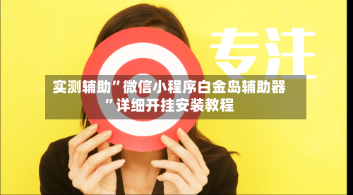 实测辅助”微信小程序白金岛辅助器	”详细开挂安装教程-第3张图片