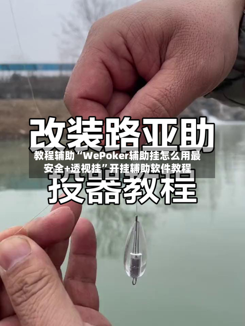 教程辅助“WePoker辅助挂怎么用最安全+透视挂	”开挂辅助软件教程-第3张图片