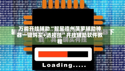 万能开挂辅助“智星德州菠萝辅助神器一键购买+透视挂”开挂辅助软件教程-第2张图片