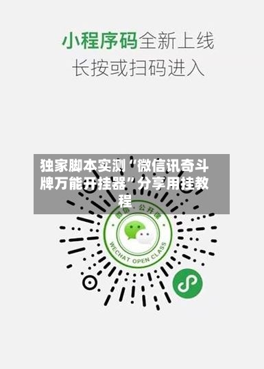 独家脚本实测“微信讯奇斗牌万能开挂器”分享用挂教程-第2张图片
