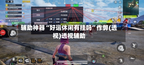 辅助神器“好运休闲有挂吗”作弊(透视)透视辅助-第3张图片