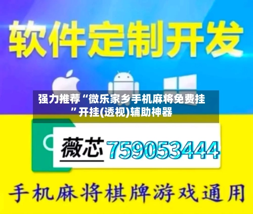 强力推荐“微乐家乡手机麻将免费挂”开挂(透视)辅助神器-第3张图片