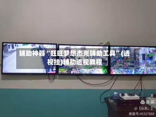 辅助神器“旺旺梦想杰克辅助工具”(透视挂)辅助透视教程-第2张图片
