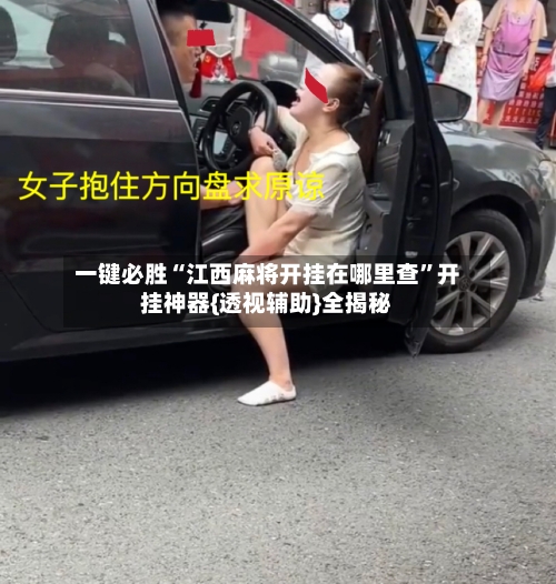 一键必胜“江西麻将开挂在哪里查”开挂神器{透视辅助}全揭秘-第3张图片