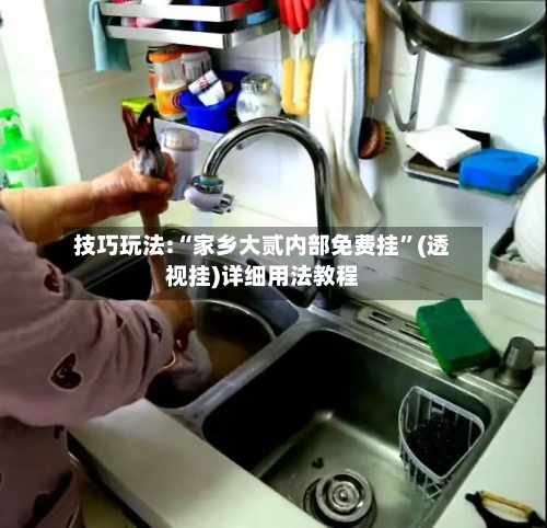 技巧玩法:“家乡大贰内部免费挂	”(透视挂)详细用法教程-第1张图片