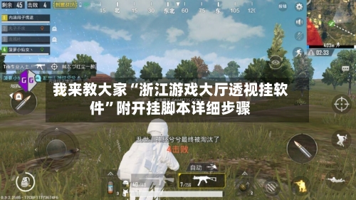 我来教大家“浙江游戏大厅透视挂软件	”附开挂脚本详细步骤-第2张图片