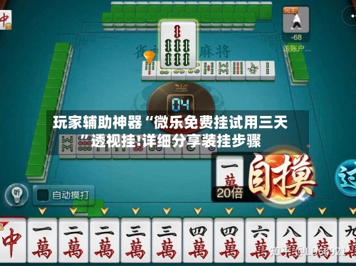 玩家辅助神器“微乐免费挂试用三天”透视挂!详细分享装挂步骤-第3张图片