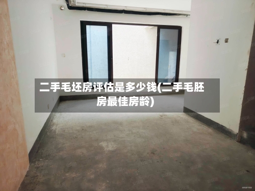 二手毛坯房评估是多少钱(二手毛胚房最佳房龄)-第1张图片