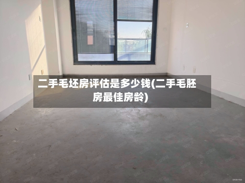 二手毛坯房评估是多少钱(二手毛胚房最佳房龄)-第2张图片