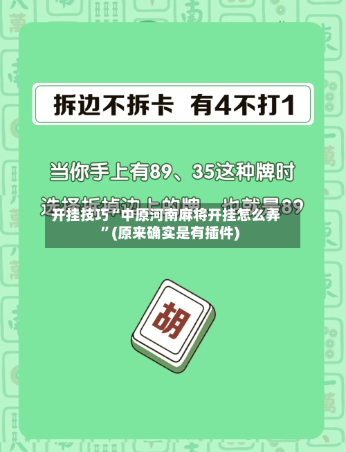 开挂技巧“中原河南麻将开挂怎么弄”(原来确实是有插件)-第3张图片