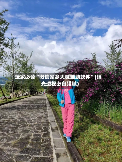 玩家必读“微信家乡大贰辅助软件	”(曝光透视必备猫腻)-第1张图片