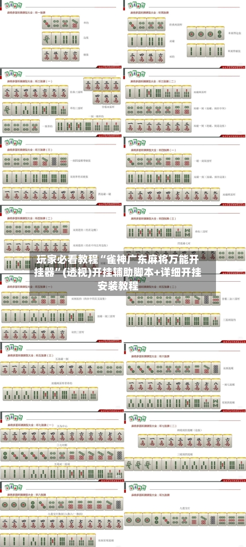 玩家必看教程“雀神广东麻将万能开挂器”(透视)开挂辅助脚本+详细开挂安装教程-第3张图片