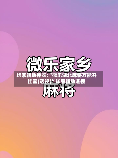 玩家辅助神器:“微乐湖北麻将万能开挂器(透视)”详细辅助透视-第1张图片