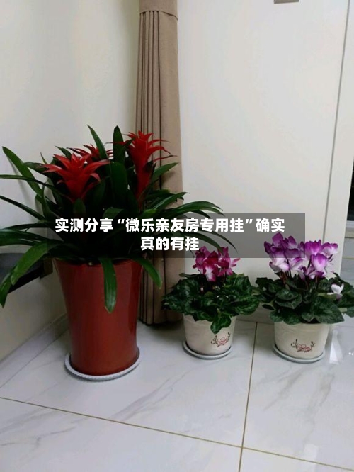 实测分享“微乐亲友房专用挂	”确实真的有挂-第1张图片