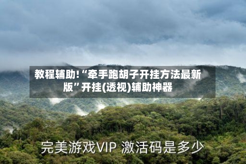 教程辅助!“牵手跑胡子开挂方法最新版”开挂(透视)辅助神器-第1张图片