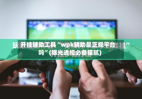 开挂辅助工具“wpk辅助是正规平台吗	”(曝光透视必备猫腻)-第1张图片