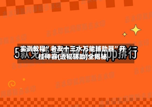 实测教程”老友十三水万能辅助器”开挂神器{透视辅助}全揭秘-第3张图片