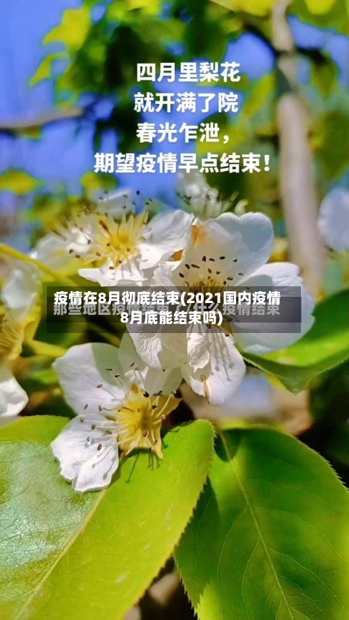 疫情在8月彻底结束(2021国内疫情8月底能结束吗)-第2张图片