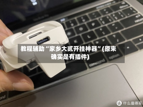 教程辅助“家乡大贰开挂神器	”(原来确实是有插件)-第1张图片