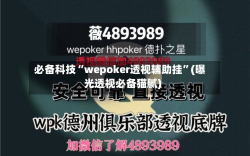 必备科技“wepoker透视辅助挂	”(曝光透视必备猫腻)-第2张图片