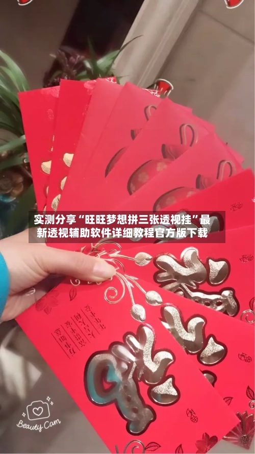 实测分享“旺旺梦想拼三张透视挂”最新透视辅助软件详细教程官方版下载-第3张图片