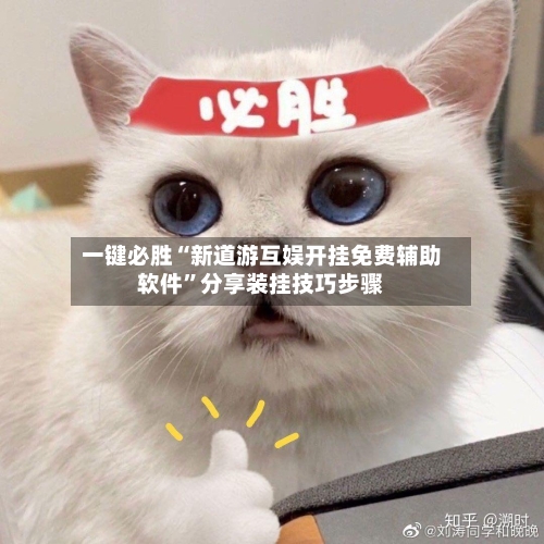 一键必胜“新道游互娱开挂免费辅助软件”分享装挂技巧步骤-第1张图片