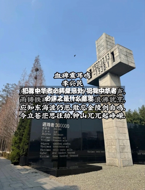 犯我中华者必将受惩处/犯我中华者必诛之是什么意思-第3张图片