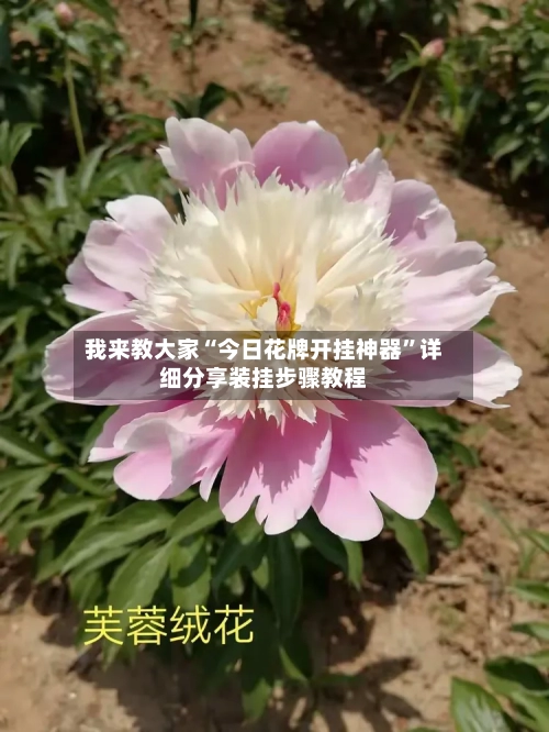 我来教大家“今日花牌开挂神器”详细分享装挂步骤教程-第2张图片